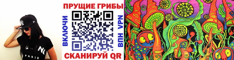 даркнет Telegram  Сурск  Псилоцибиновые грибы мицелий 