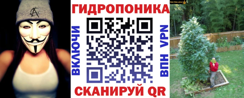 Бошки Шишки планчик  Сурск 